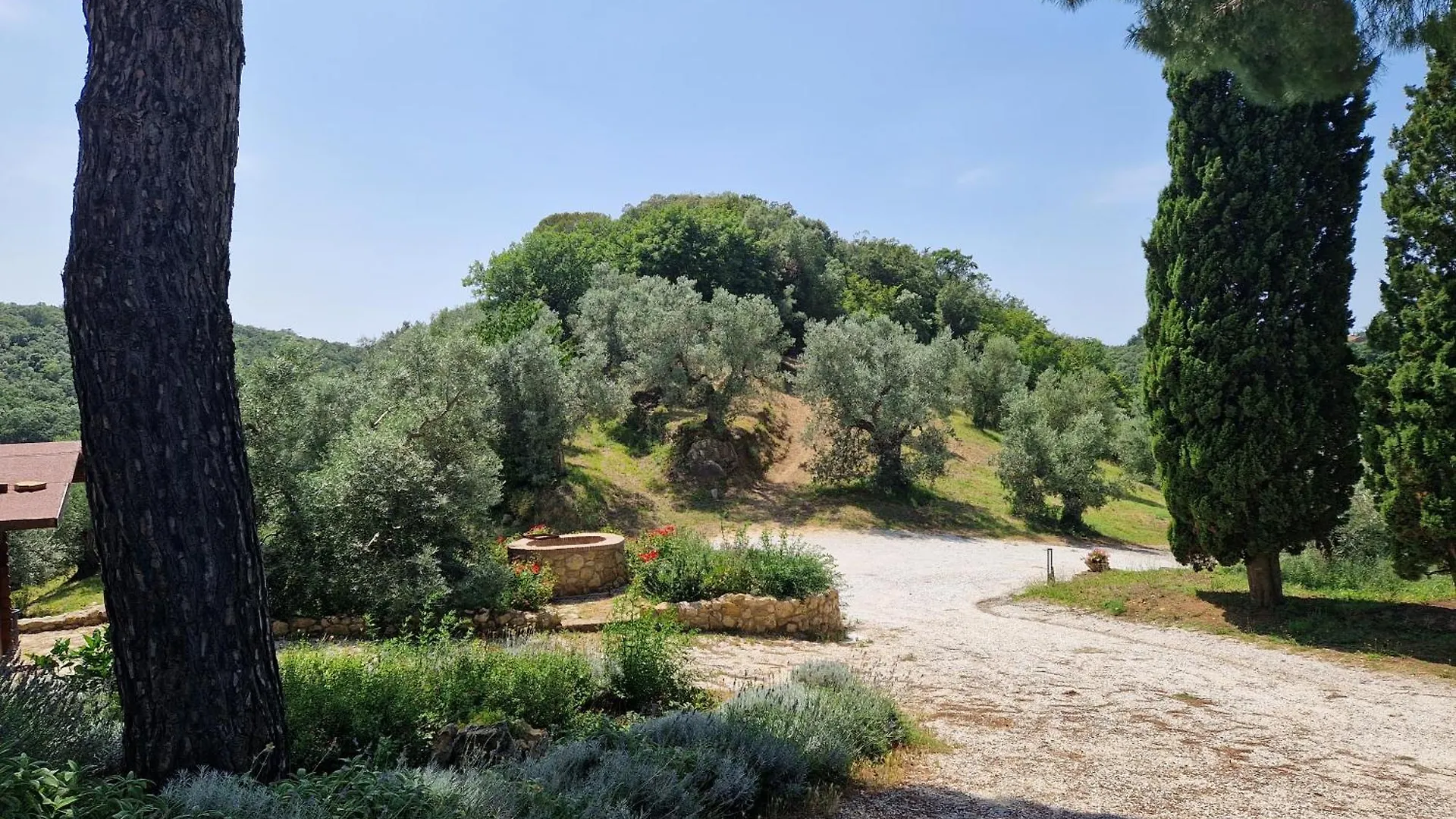 Agriturismo Ai Massi Casale Marittimo 0*,  Italien